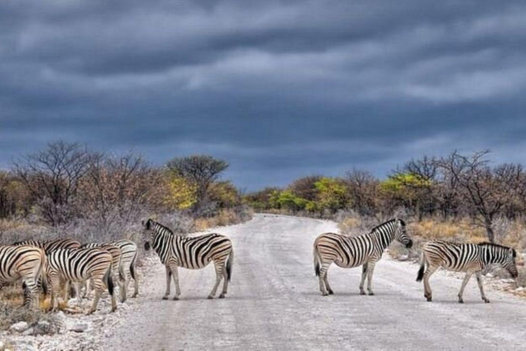 3 Days, 2 nights safari to Samburu National Reserve 3 Days private safari in a 4x4 Landcruiser jeep