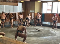 Tokyo, visitez Sumo Morning Practice avec Guide d'anglais - Housity