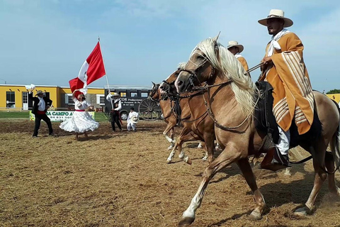 Explore Trujillo: Chan Chan + Horseback Riding + Huanchaco