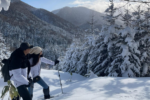 Shikotsu-Toya National Park: Guided Snowshoe Hike and Onsen Shikotsu-Toya National Park: Guided Snowshoe Hike and Onsen.