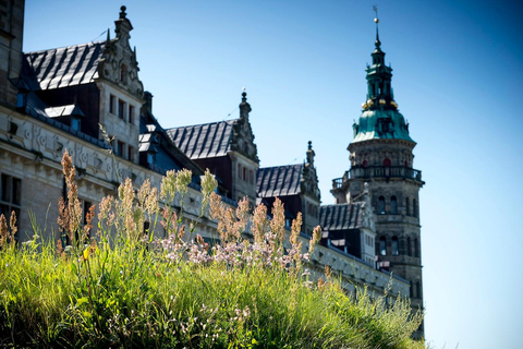 Helsingør Ticket de entrada al Castillo de Kronborg