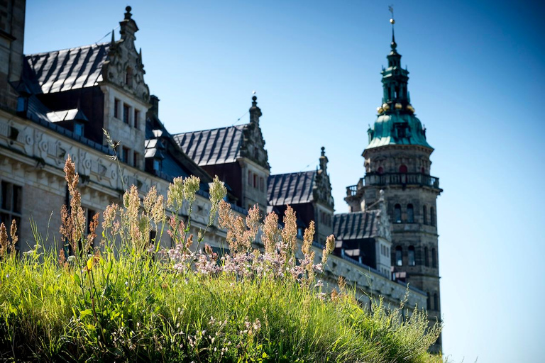 Helsingør : billet d&#039;entrée au château de Kronborg