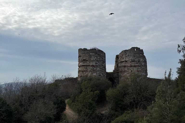 Istanbul: Asian Side Tour with Camlica Mosque & Lunch