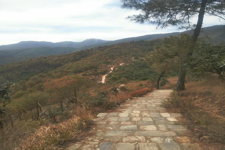 Kathmandu: Hike, Heritage & Holiness | Champadevi and more