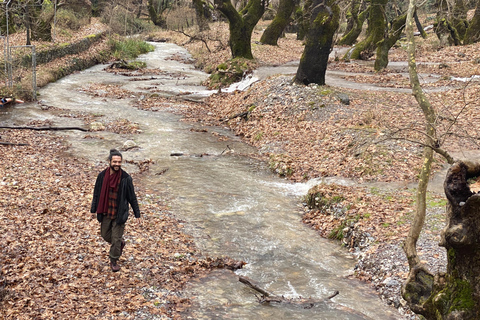 Athens: Kalavrita UNESCO Global Geopark & Pounta Beach Swim
