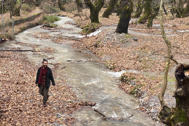 Athens: Kalavrita UNESCO Global Geopark & Pounta Beach Swim