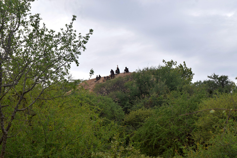 Au départ d'Arusha : circuit du lac Eyasi, des villages Datoga et HadzabeAu départ d'Arusha : visite du lac Eyasi, des villages Datoga et Hadzabe