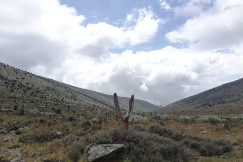 À la conquête du mont KenyaTraversée de 4 jours de Chogoria à Sirimon