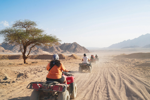 Sharm El Sheikh: ATV Fiets, Kameel, Diner, Shows &amp; SterrenkijkenDubbele quad