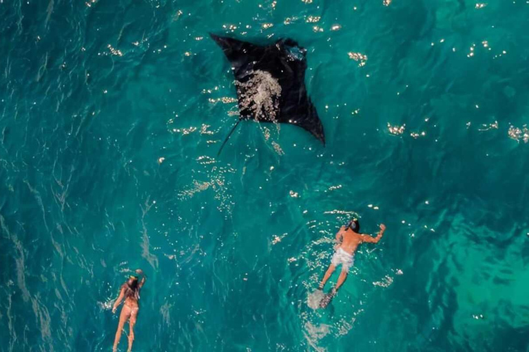 Da Bali: Tour di snorkeling in 3 punti a Nusa Penida e West IslandSnorkeling condiviso - Punto di incontro al porto di Sanur