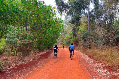 Nairobi: Karura Forest Guided Bike Tour or Walking tour