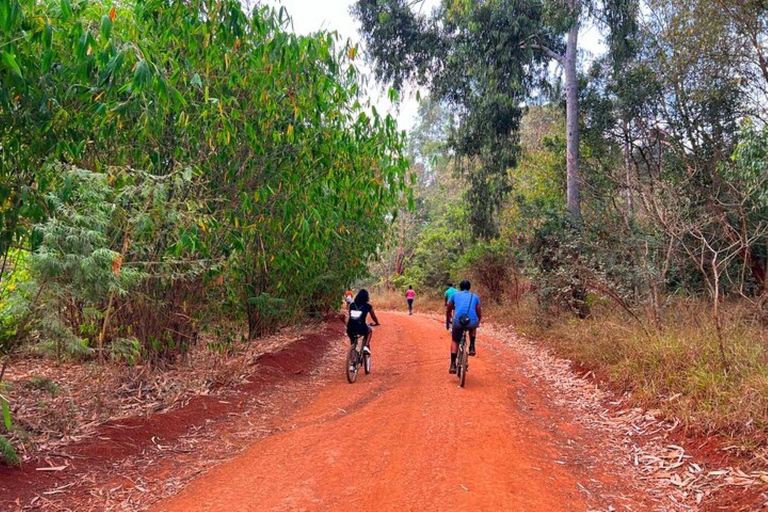 Nairobi: Karura Forest Guided Bike Tour or Walking tour