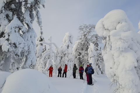 Levi Lapponia: Escursioni con le racchette da neve all&#039;aurora boreale