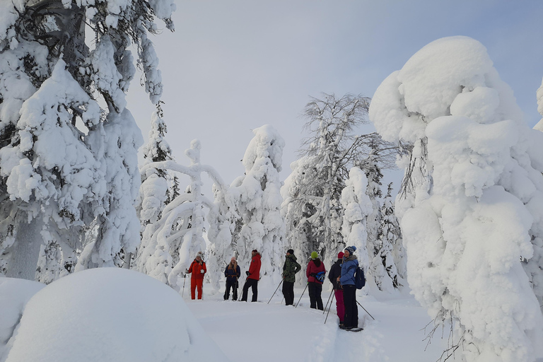 Levi Lapponia: Escursioni con le racchette da neve all&#039;aurora boreale