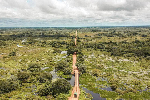 São Paulo: 3-Day Eco Safari Experience in the Pantanal