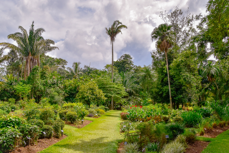 From Kandy: 4-Day Sri Lanka Hill Country Tour with Udawalawe