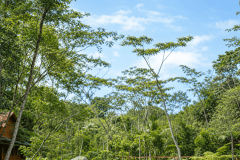 Yogyakarta: Private Merapi Jeep Adventure & Riverside Escape