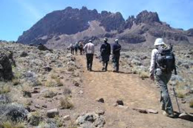 8 Daagse Kilimanjaro Klimroute via de Lemosho Route