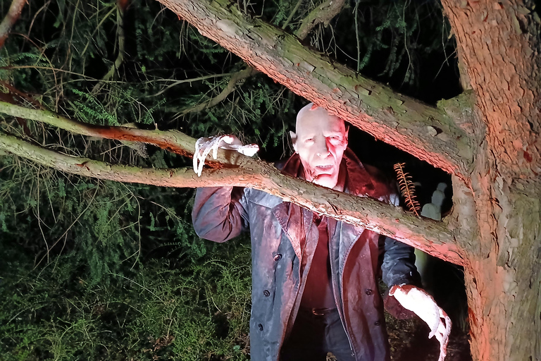 Francfort : théâtre d'horreur avec visite guidée « La résurrection de Nosferatu »