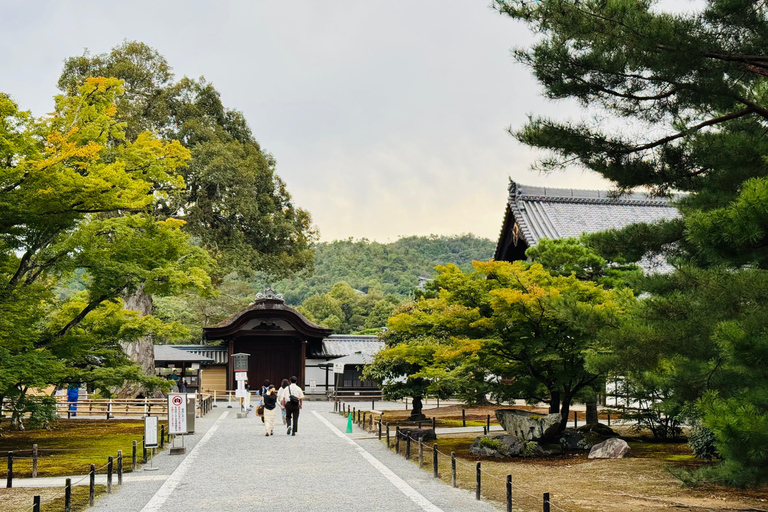 Tour privato di un giorno a Kyoto