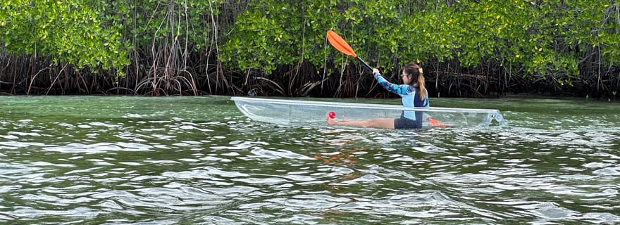 Au départ de Lembongan : Excursion en kayak/planche à voile/bateau dans la mangrove