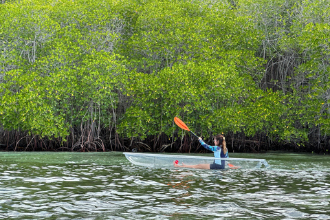 From Lembongan: Explore Mangrove with Kayak/Paddleboard/Boat Discover Mangrove Forest Tour by Paddle Board
