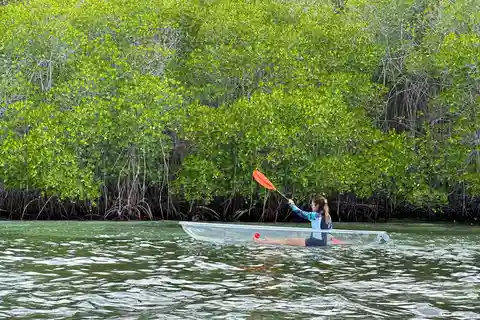 De Lembongan: Passeio de caiaque/paddleboard/barco pelos manguezais