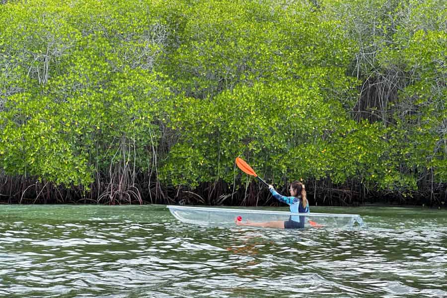 Von Lembongan aus: Kajak/Paddelbrett/Bootstour Mangroven. Foto: GetYourGuide