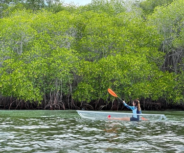 From Lembongan: Kayak/Paddleboard/Boat Mangrove Tour