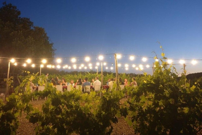 Chianti: cata de vinos y cena en los viñedosTour en inglés