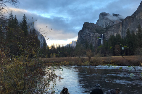 Van San Francisco: Yosemite-tour met wandeling met gigantische sequoia's