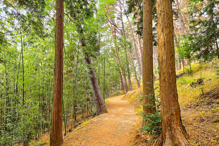 From Busan: Gyeongju Ancient Capital Day Tour