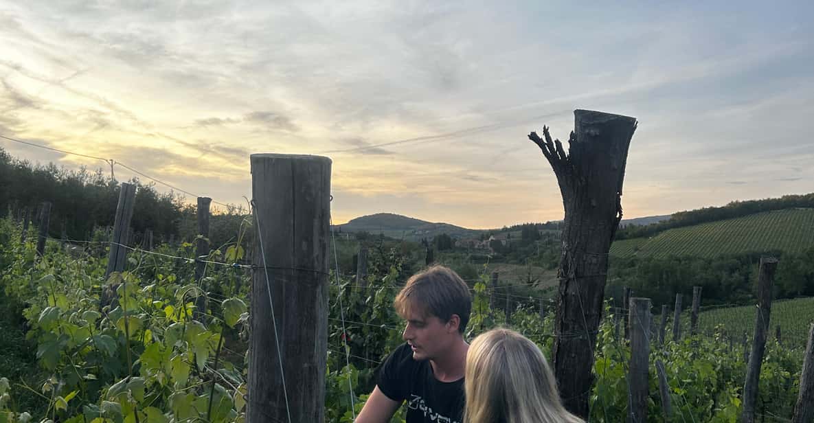 Afbeelding 1 van Chianti: biologische tuin en wijnproeverij