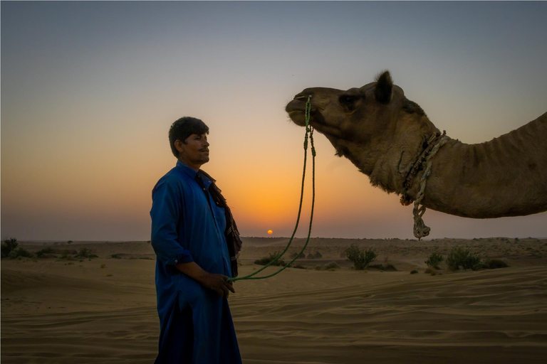 زيارة معالم جيسلمير مع جولة على الجمال ورحلة السفاري في الصحراء وخيارجولة في مدينة جيسالمير مع رحل