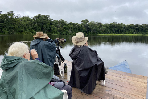 Da Cusco: 5 giorni di esplorazione e connessione nella Zona Riservata del ManuDa Cusco: 5 giorni di esplorazione e connessione nella Zona Riservata di Manu