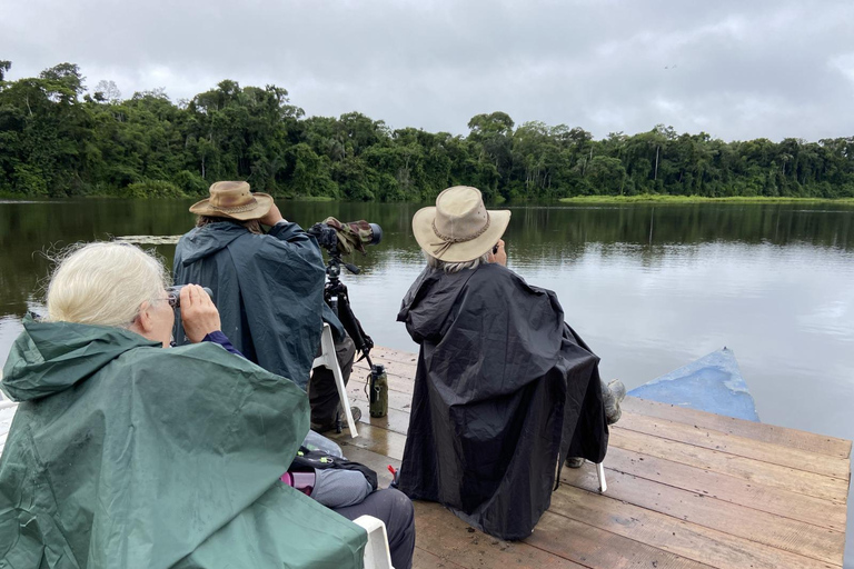 Da Cusco: 5 giorni di esplorazione e connessione nella Zona Riservata del ManuDa Cusco: 5 giorni di esplorazione e connessione nella Zona Riservata di Manu