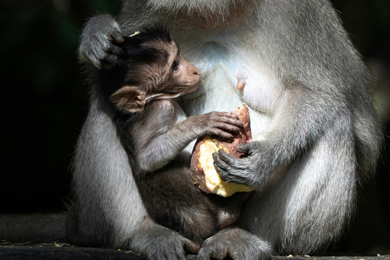 ULUWATU LUXE TOUR: Beaches, Cliffs, Temple, Fire Dance & BBQ ULUWATU LUXE TOUR: Beaches, Cliffs, Temple, Fire Dance & BBQ