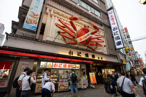 Osaka: City Highlights, Minoh Falls & Katsuoji Private Tour