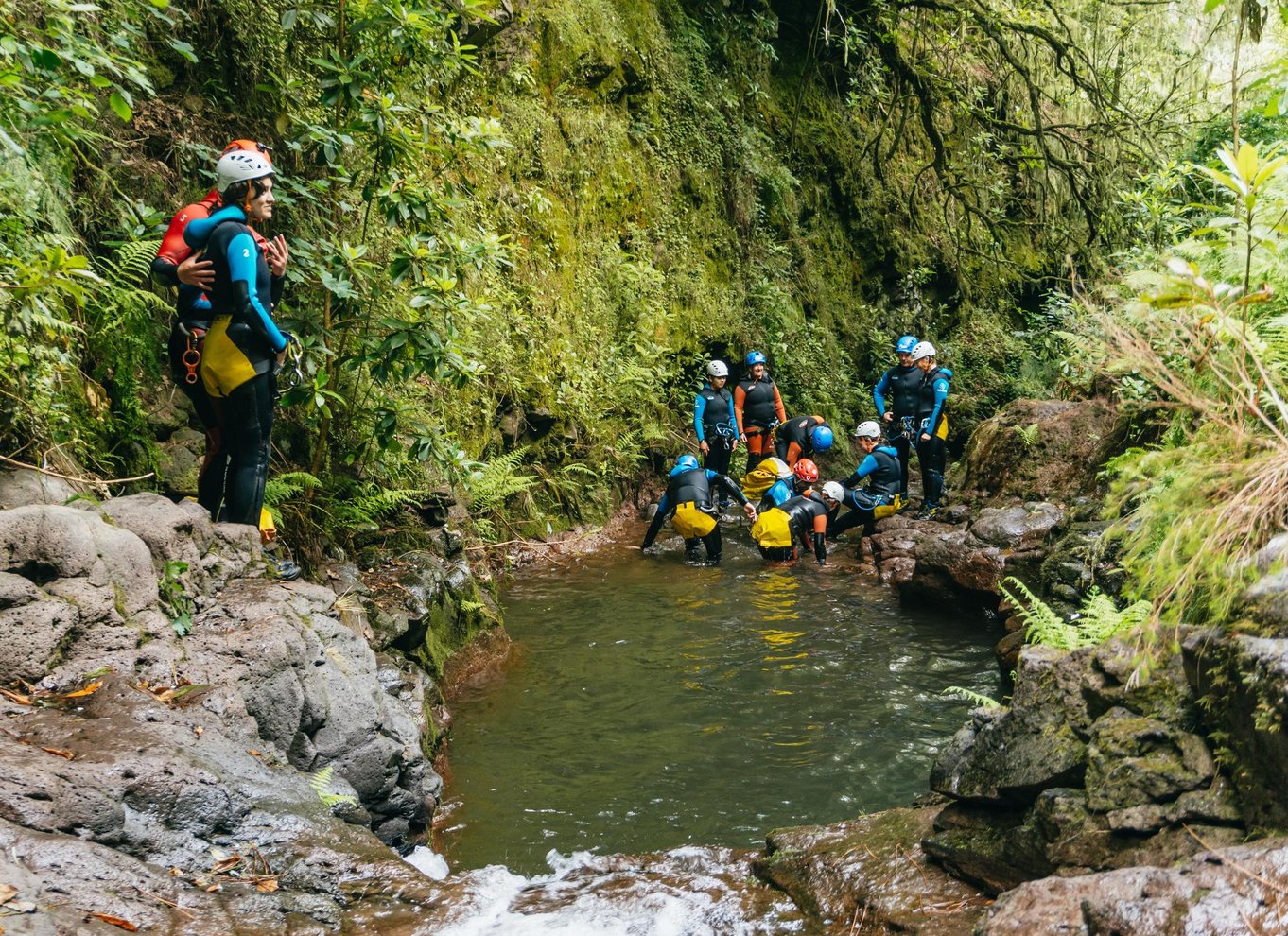 Funchal: Halvdags begyndervenlig canyoning-oplevelse