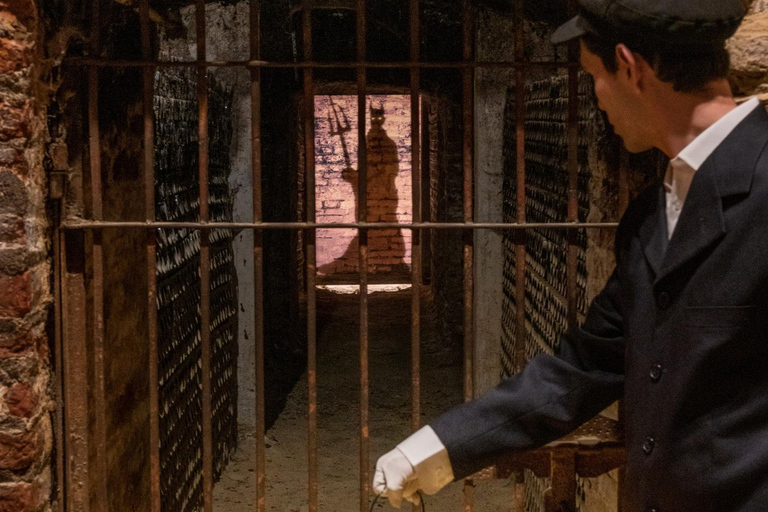 Casillero del Diablo Night Tour with Dinner in Concha y Toro