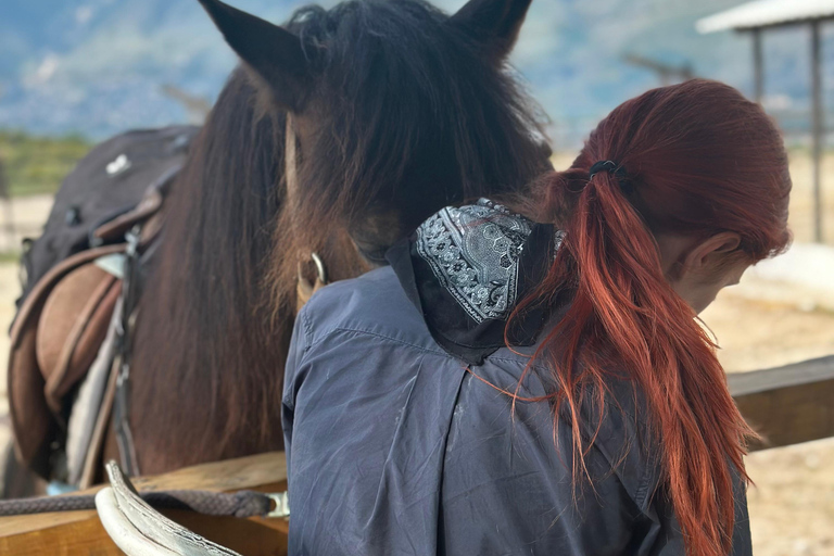 2-Day Gjirokastra & Durres: Horse Riding & Culture Tour Trip