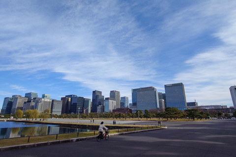 Tokyo: 3 timmars privat cykeltur med elcykel som börjar vid ditt hotell