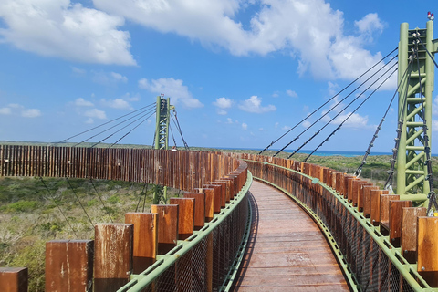 Playa del Carmen: Mayan Jungle ATV, Cenote and Zip Line ATV single + Zipline + Cenote