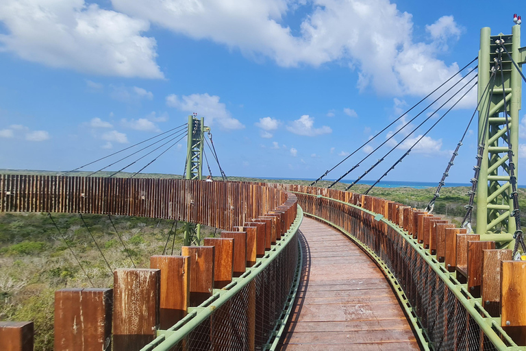Playa del Carmen: Mayan Jungle ATV, Cenote and Zip Line ATV single + Zipline + Cenote