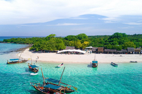 From Nungwi/Kendwa: Safari Blue Trip with Lunch & Sandbank