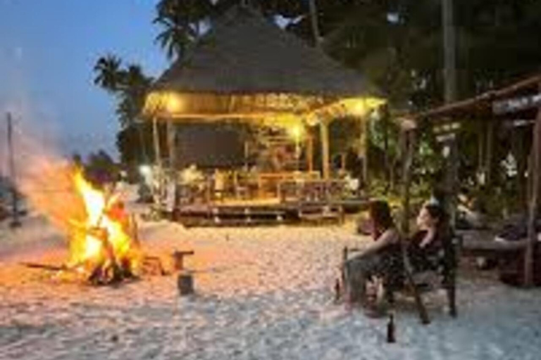 Swim with Whale Sharks in Mafia Island Flight from Zanzibar Mafia Whale Shark Adventure – Day Trip (No Flights Included)