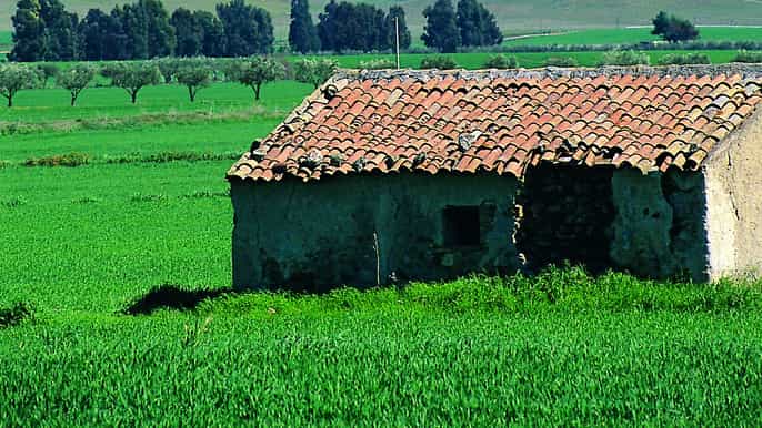 giro delletna e gole dellalcantara tour panoramico
