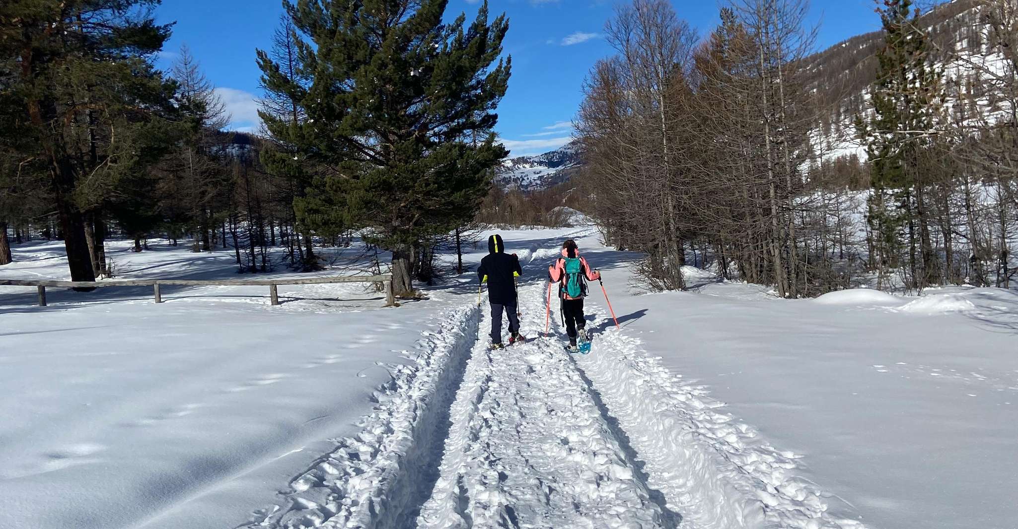 Vialattea, Snowshoeing into the snowy forest - Housity