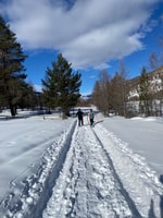 Vialattea、雪の森へのスノーシュー - Housity