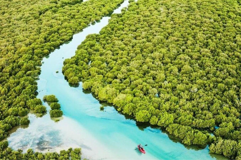 Doha: Full Day Desert Safari & North Qatar Tour with Inland Doha: Group Tour with Hotel Pick up & drop off